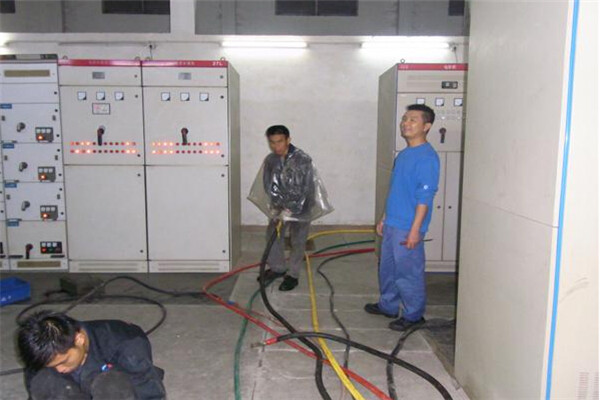 廣東清遠(yuǎn)某生物科技公司租賃發(fā)電機