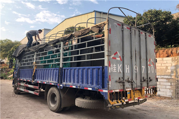 關(guān)停小火電存在的問題及其解決辦法